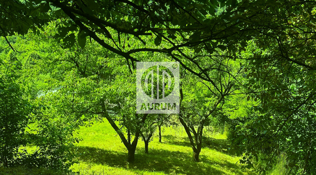 PREDANÁ - Záhrada –Košice, záhradkárska oblasť Ťahanovce