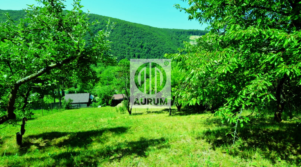 PREDANÁ - Záhrada –Košice, záhradkárska oblasť Ťahanovce